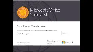 Microsoft Office Specialist: Excel 2019 Expert.