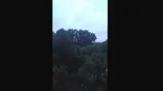 Человек поет под дождем в лесу у реки. 10.06.2014