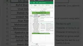 Separate Data in Cell Excel | Office 365