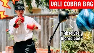 VALI COBRA REFLEX BAG 🐍🥊 [REVIEW]