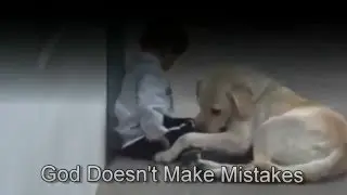 Venligst se denne video! Det er så smukt : )