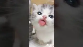 доказано:з