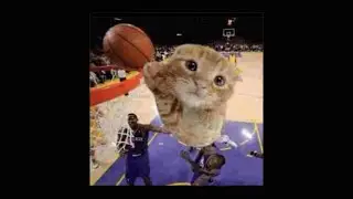 Nico's nextbots -ballin jumpscare-