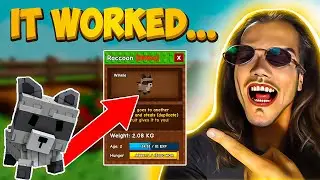 How To Get Raccoon in Grow A Garden Roblox (Full Tutorial) *2025*