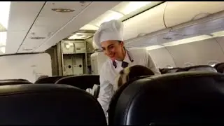 ✈ BUSINESS CLASS EXPERIENCE | Turkish Airlines A321-200 | Riyadh to Istanbul