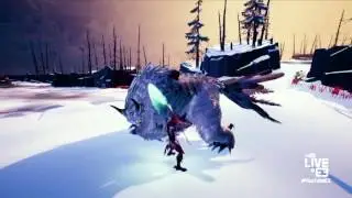 Dauntless Developer Interview