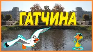 ГАТЧИНА.