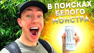 В ПОИСКАХ БЕЛОГО МОНСТРА! Лучший энергетик для зала? | ТренеВлог №34