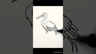 Very Easy Stork Drawing  