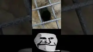 #memes