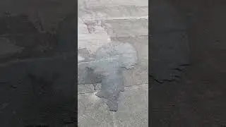 26.06.24 