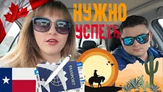 Много Дел! КАК ВСЕ УСПЕТЬ!? ЛОСЬ 🫎 у Соседей в Канаде. В гостях у 