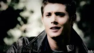 SPN;; Sam/Dean - The Bitch Song