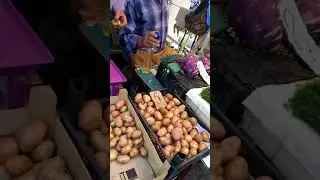 Бендеры Продуктовый Рынок Обзор Цен Август 2017 год