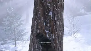 Call of Duty Modern Warfare 3 Frozen Tundra