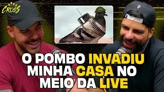 A LIVE DO POMBO KKKKKKKKKKKKKKKKKKKKKKKKK