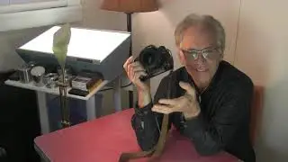 WAJDA PHOTO - * NEW* Gear Talk Series/Real World Experiences: Nikon D610