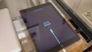Help me fix this iPad!