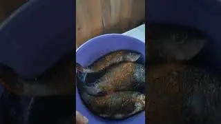 коптильня из кастрюли самая народная программа