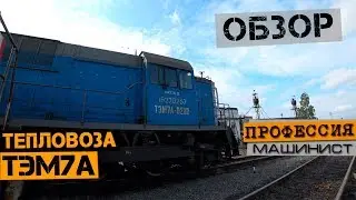 Diesel shunting loco TEM7A | Review