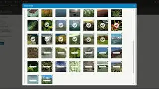 Varbase Media:  Gallery Media Type -  Back-End