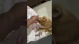 Danny DON nu nivea di cream bahut pasand hai naal hi khaa janda hai #viral #funny #subscribe