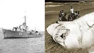 Did the South African Navy Find a Giant Megalodon?