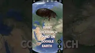 Giant Cockroach Found🤯On Google Earth|Google Map Secrets|