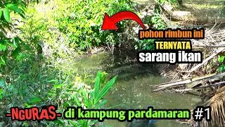 NGURAS SPOT BELUM PERNAH TERJAMAH