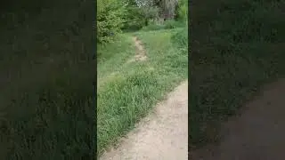 gözler üzerimde