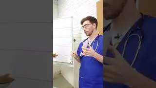 Влад А4. Серега и анатомия