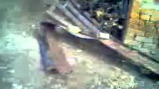 123 120