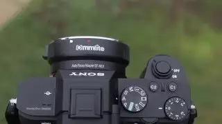 Sony a7ii firmware 2.0 with canon lenses