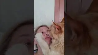 Мейн Кун.Целовашки с Тиффани