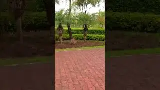 COMSATS University Islamabad