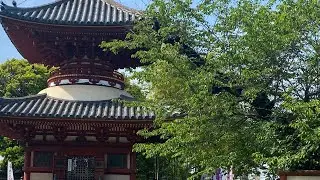 A Month in Tokyo in Under 7 Minutes