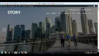 Story Theme installation process