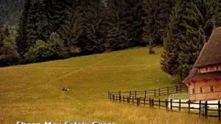 Sheep May Safely Graze (J.S.Bach) - Classical Wedding Piano Music Re - arranged by Miranda Wong