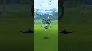 Shiny Noibat low cp 😂😂//Pokemon Go 
