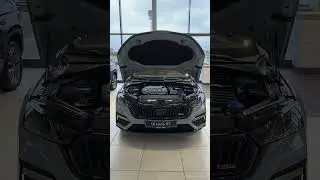 2024 Skoda OCTAVIA RS 2.0 TDI Final Edition (200 HP)