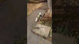 Всем хорошего настроения