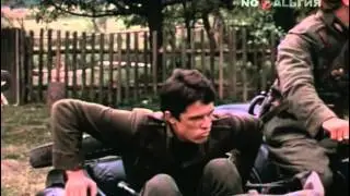 Илга иволга