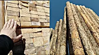 ТУРТКУЛЬ ТАХТА БОЗОР НАРХЛАРИ 18.09.2021 | TURTKUL TAXTA BOZOR NARXLARI 2021