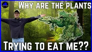 D&D Monsters: the Shambling Mound