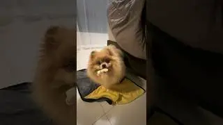 Бася возмущена моим поступком!