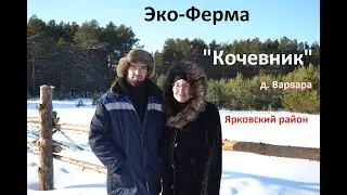 Эко-Ферма "Кочевник"