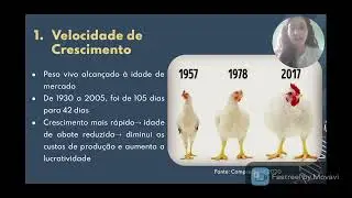 Melhoramento Genético Avicultura de Corte