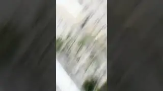 #viraltiktok