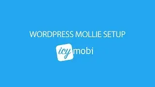 Wordpress Mollie Setup