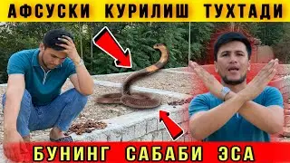 😨Афсуски Уй Курилиши Тухтади. Бунинг Сабаби Эса Илон Босган Уйга Уста топилмади